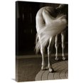 thumbnail image 1 of Global Gallery's 'Swoosh' By Jim Dratfield Stretched Canvas Wall Art, 1 of 4