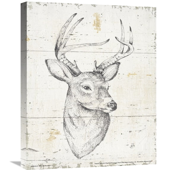 Global Gallery's 'Wild and Beautiful I' by Daphne Brissonnet Stretched Canvas Wall Art