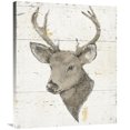 thumbnail image 1 of Global Gallery's 'Wild and Beautiful II with Brown' by Daphne Brissonnet Stretched Canvas Wall Art, 1 of 4