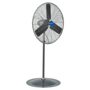 Global Industrial 30" Adjustable 3 Speed Oscillating Pedestal Fan, Gray