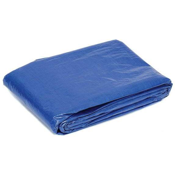 Global Industrial 40' x 80' Light Duty 2.9 oz. Tarp Blue