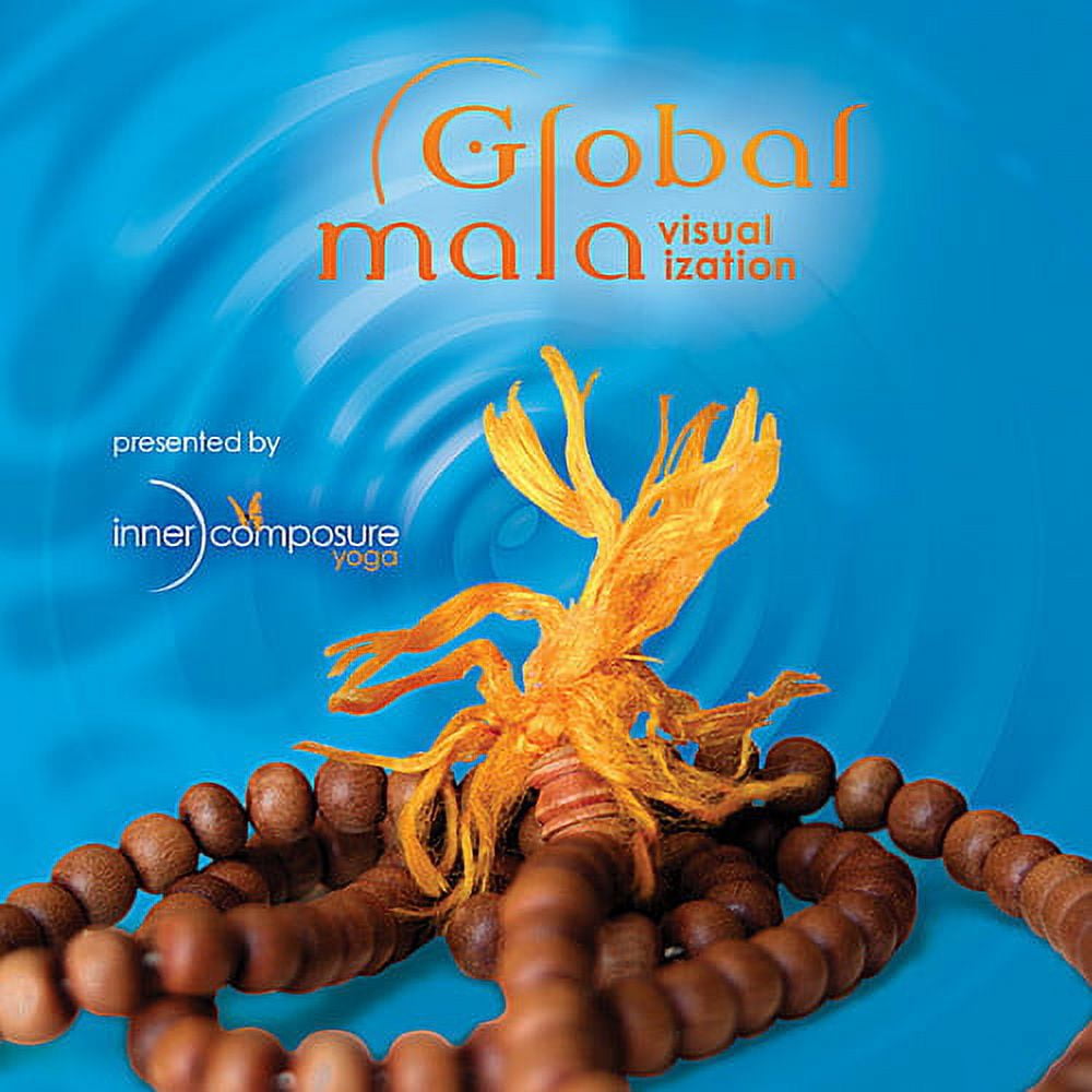 Pre-Owned Global Mala Visualization - Walmart.com