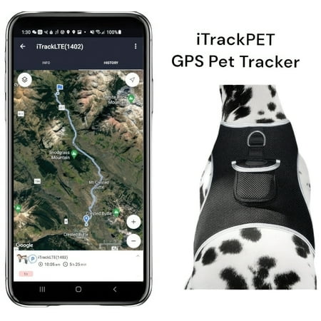 Global Range GSM GPRS Small Dog GPS Tracker Realtime Location Finder Size:XXL
