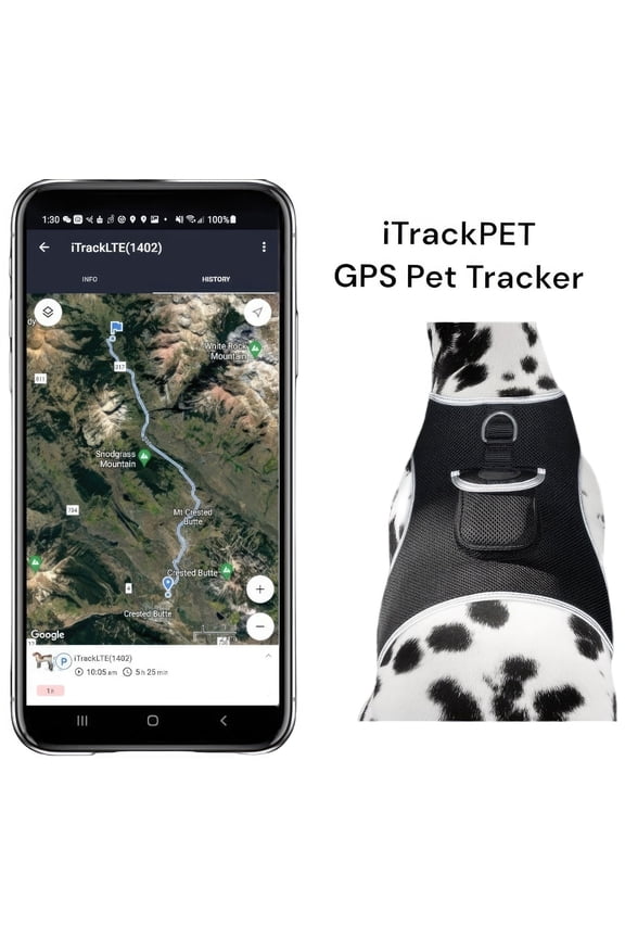 Global Range GSM GPRS Small Dog GPS Tracker Realtime Location Finder Size:XXL