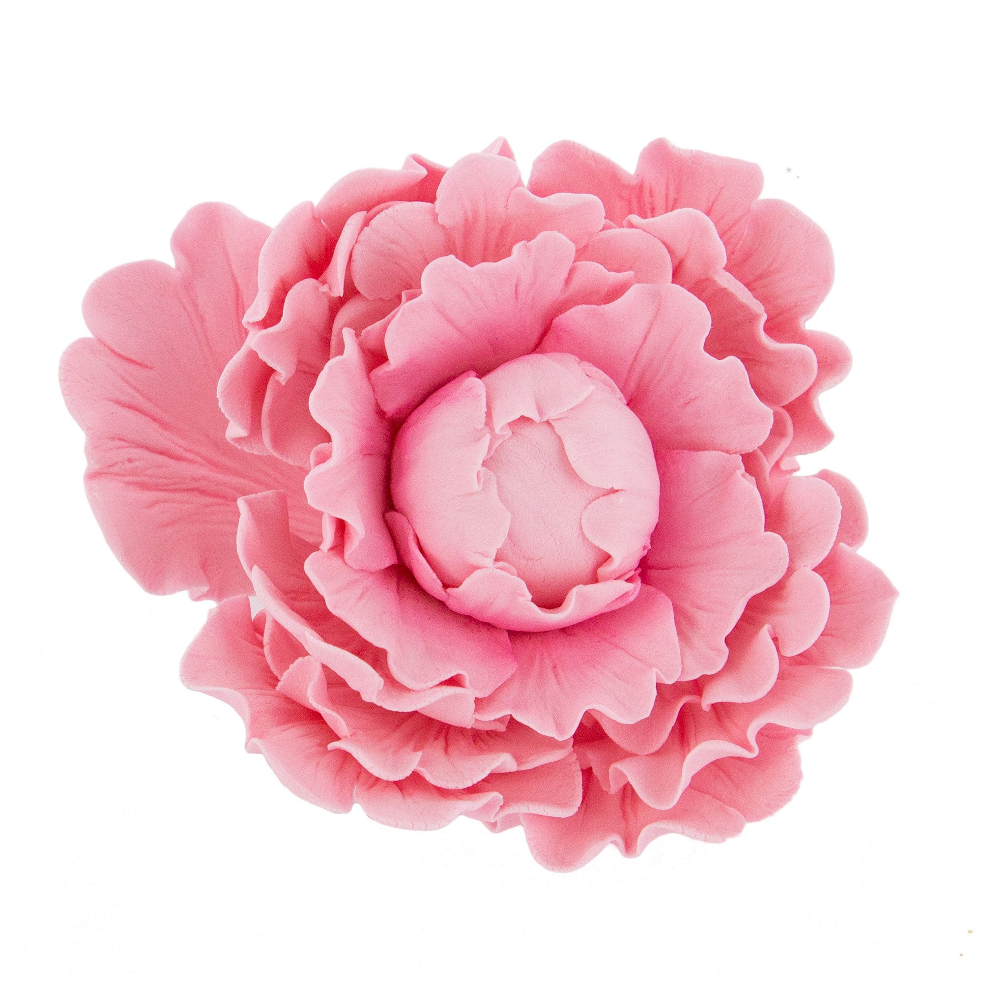 Global Sugar Art Premium Peony Sugar Cake Flowers, Pink, 1 Count by Chef Alan Tetreault