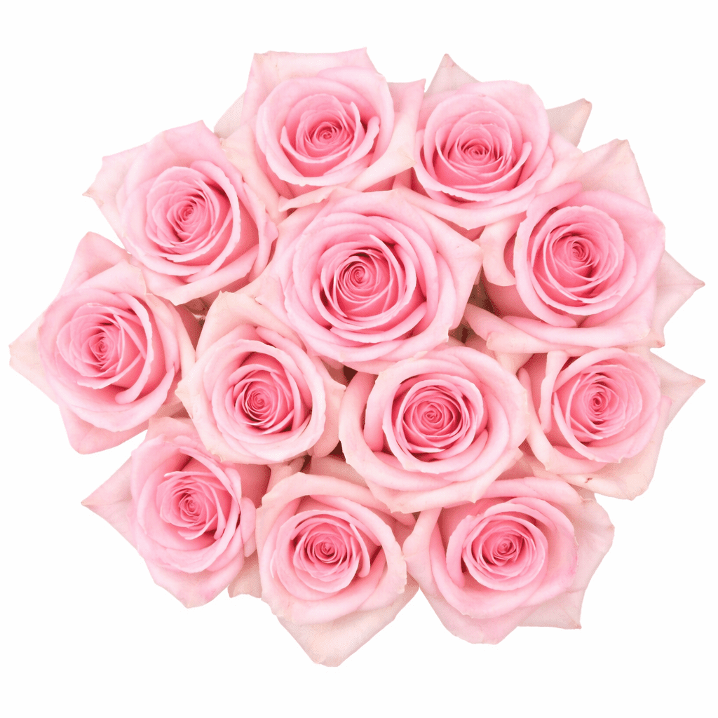 Globalrose 12 Count Pink Roses, Fresh cut flowers - Walmart.com
