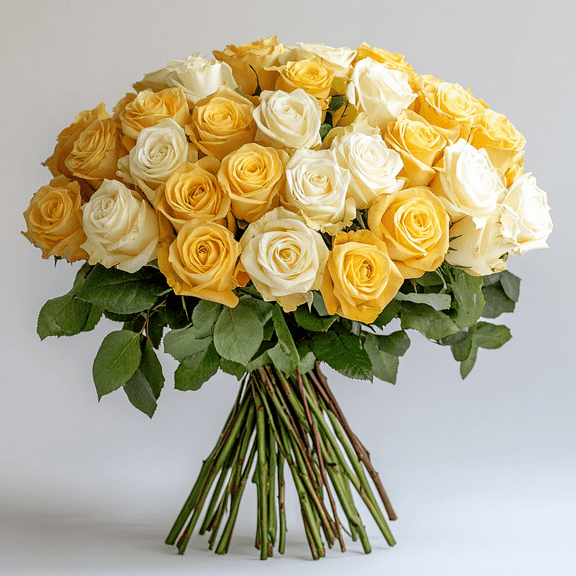 Globalrose 50 Stems of Yellow and White Roses, Fresh Cut Flowers