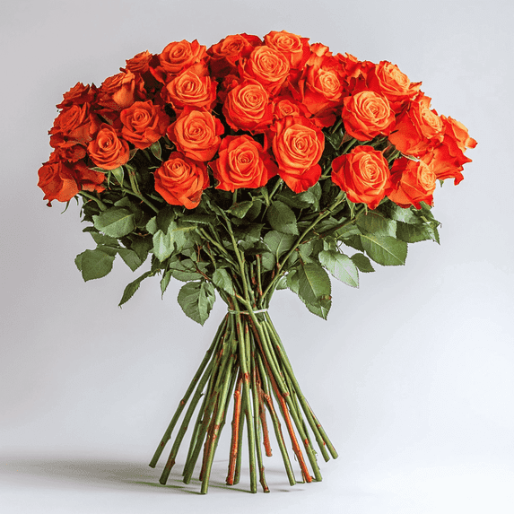 Globalrose Fresh Cut Flowers 50 Orange Roses, Beautiful Bright Blooms