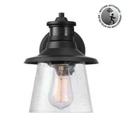 Globe Electric 1-Light Matte Black Motion Sensor Outdoor Wall Sconce w/ Clear Glass Shade, 91007607