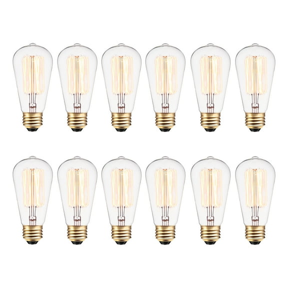 Globe Electric 40W Vintage Edison S60 Squirrel Cage Incandescent Filament Light Bulb (12-Pack), 313242