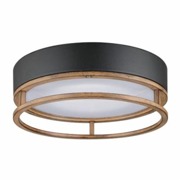 Globe Electric 44663 Ray 12" Wide Led Outdoor Flush Mount Drum Ceiling Fixture - Black