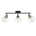 thumbnail image 1 of Globe Electric 3-Light Matte Black Track Lighting with Antique Brass Accents and Clear Glass Shades, Bulbs Included, 1 of 8