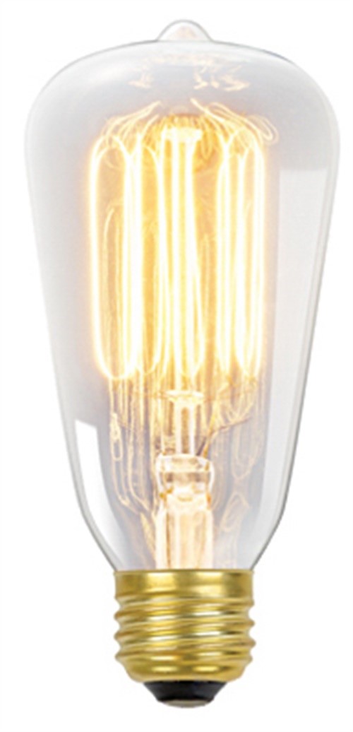 Globe Electric 60-Watt S60 Squirrel Cage Incandescent Filament Light Bulb, Standard E26 Base, 01321 - image 1 of 5