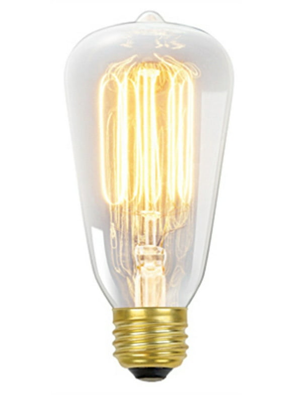 Globe Electric 60-Watt S60 Squirrel Cage Incandescent Filament Light Bulb, Standard E26 Base, 01321