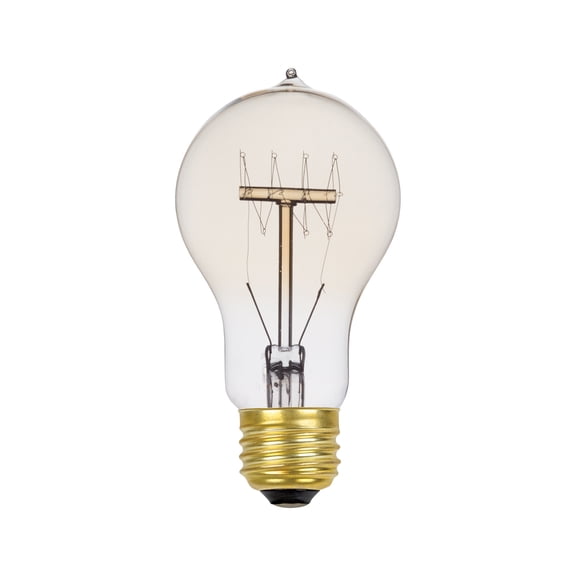 Globe Electric 60W Vintage Edison A19 Quad Loop Incandescent Filament Light Bulb, 01325