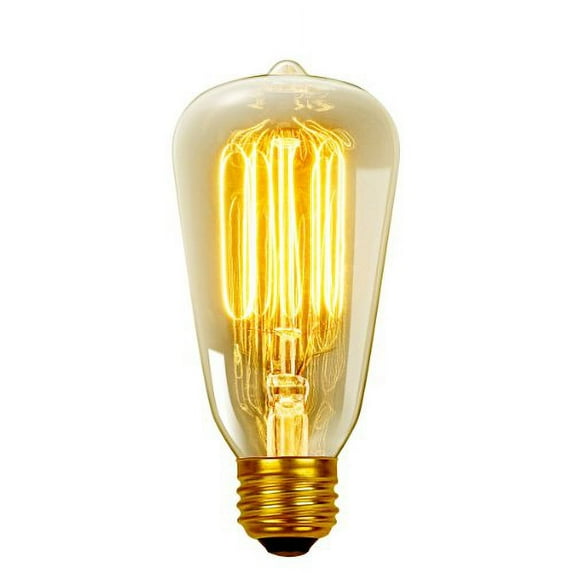 Globe Electric 60W Vintage Edison S60 Squirrel Cage Incandescent Filament Light Bulb (3-Pack), 31321