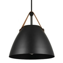 Globe Electric 91006006 Jacob 11" Wide Pendant - Black