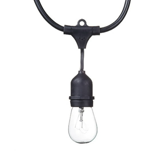 Globe Electric Dublin 48' LED Vintage 80 Lumens 24-Bulb String Light Set