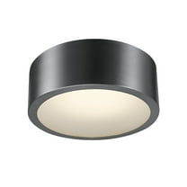 Globe Electric Edinburg Black Iron LED Integrated Flush Mount Ceiling Light with Frosted Glass Shade, 60304