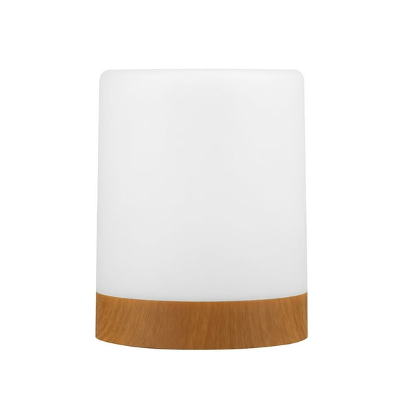 Globe Electric LED Integrated Rechargeable Multicolor Portable Touch Lamp with Included USB Cable, 91009546