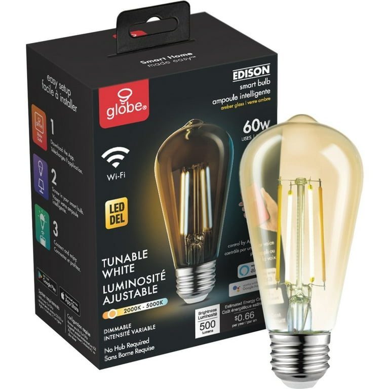 Globe Electric Wi Fi Smart 60W Vintage Filament Tunable White Amber Glass LED Light Bulb