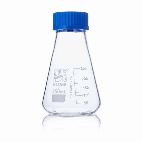 Globe Scientific Erlenmeyer Flask,250 mL,140 mm H,PK6 8420250