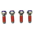 thumbnail image 1 of Globetech Manufacturing GT7600 Patented Hubcap TempBolt, Pack of 4, 1 of 1
