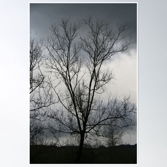 Gloomy Day With Bare Tree Poster Wall Art, Modern Wall Decor, 8x12 UNFRAMED