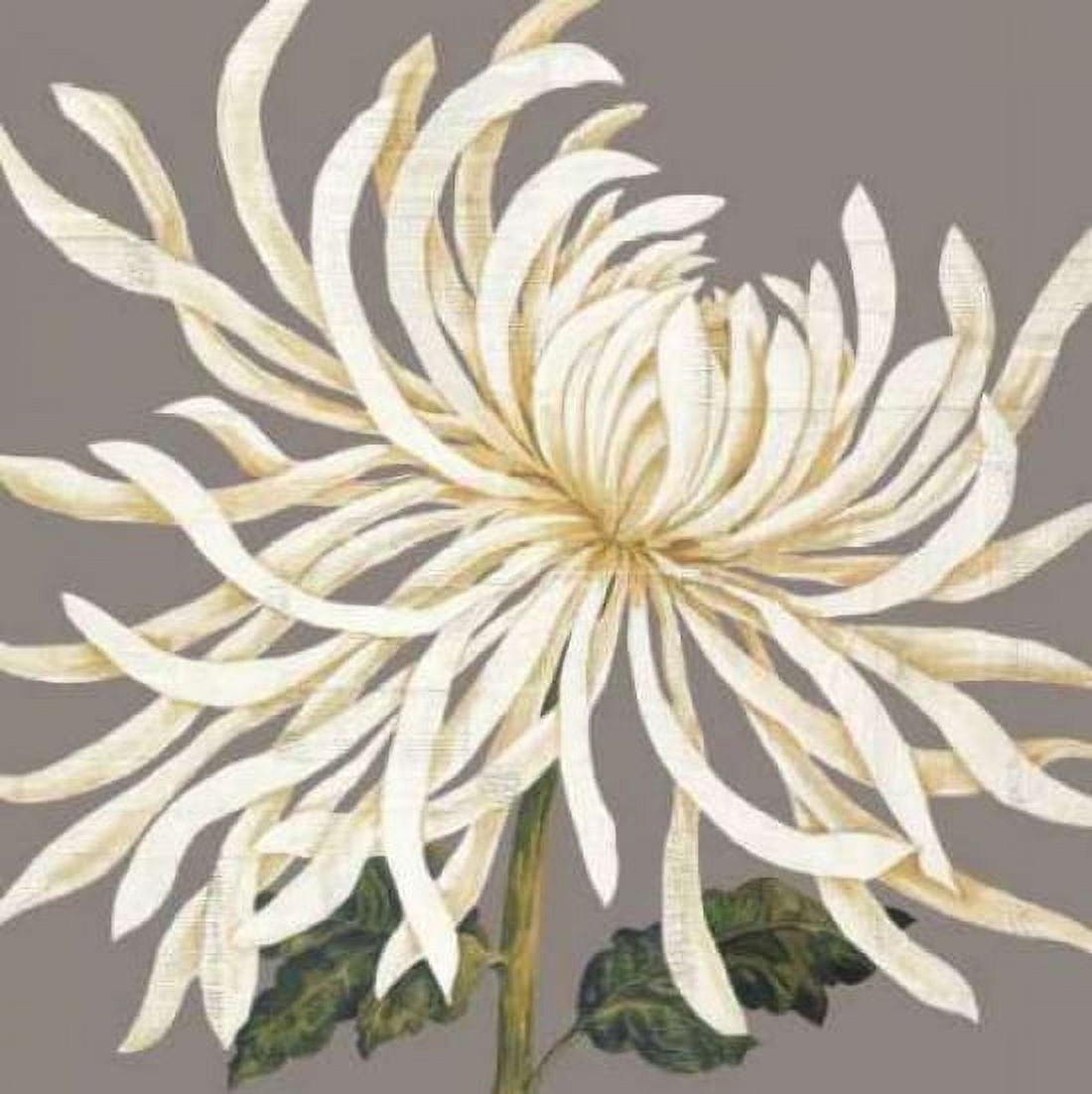 Glorious Whites I Canvas Art - Judy Shelby (24 x 24)