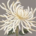 thumbnail image 1 of Glorious Whites I Poster Print by Judy Shelby (12 x 12), 1 of 1