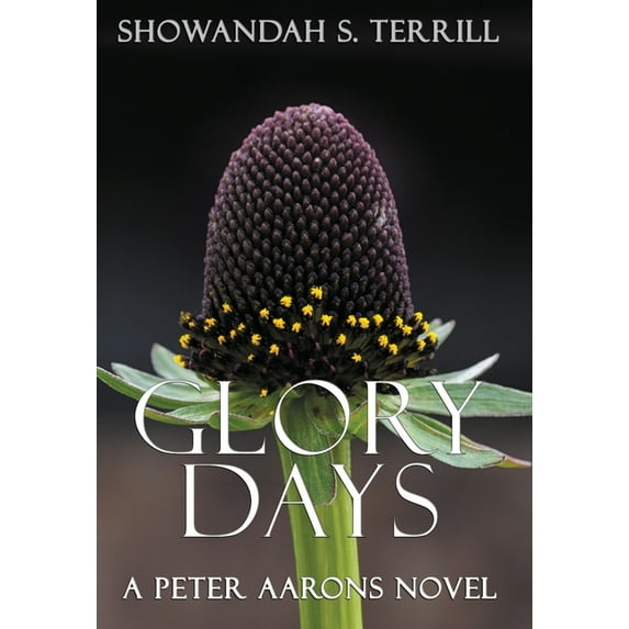 Glory Days (Remastered), (Hardcover)