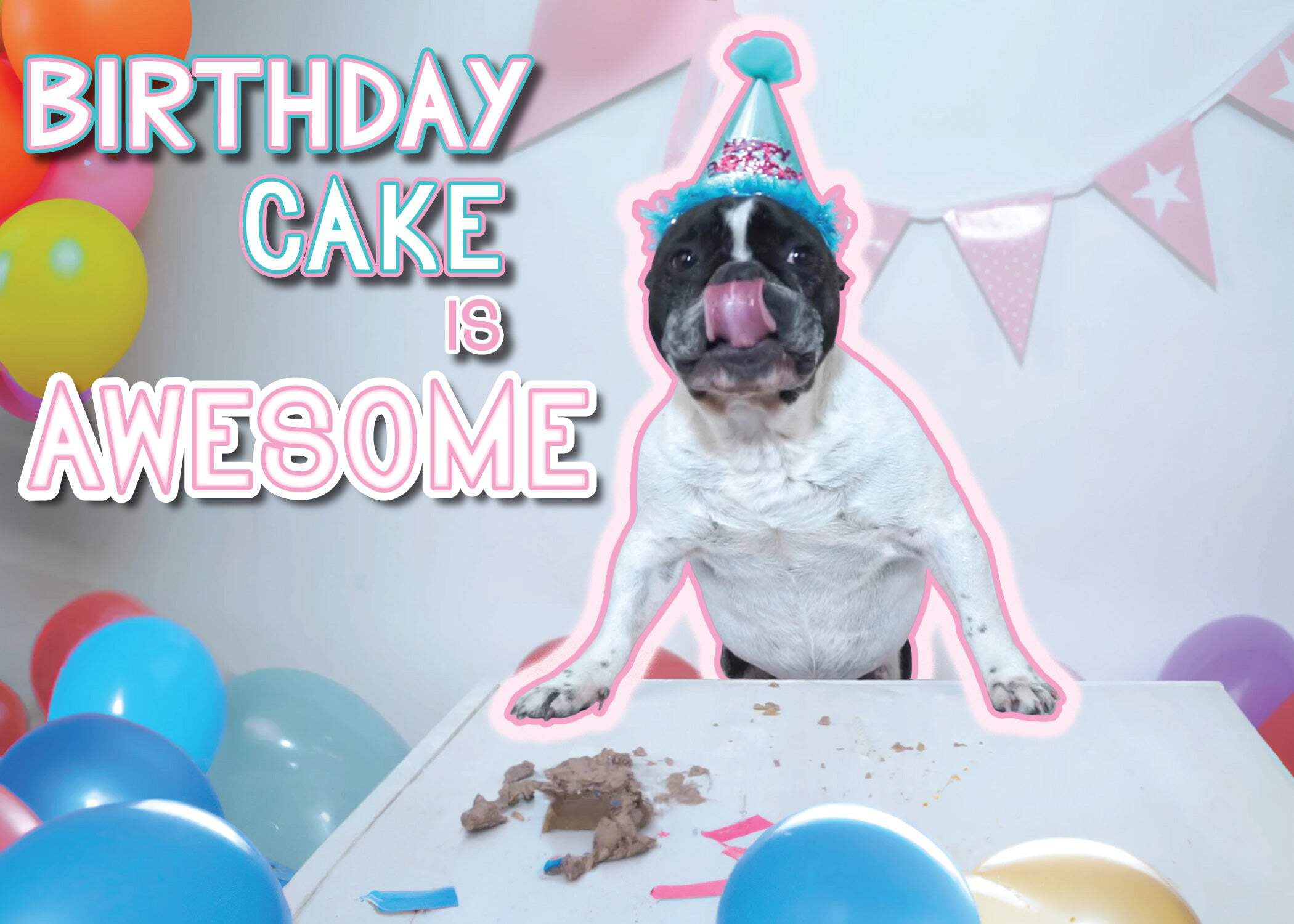 Geburtstagskarte Für Hundefreunde | „A Little Toast On Your Birthday“ | Mit Umschlag | Lustig & Kreativ