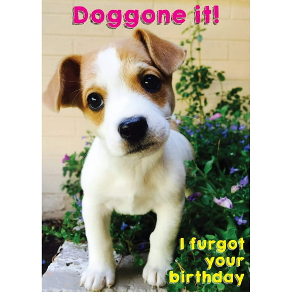 Glory To Dog Doggone It! I Furgot Your Birthday Greeting Card (with an adorable Jack Russell Terrier puppy)