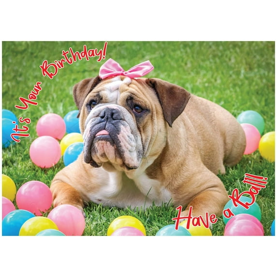 Glory To Dog It's Your Birthday Have a Ball English Bulldog 7-by-5 inch Birthday Card with Mailing Envelope