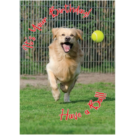 Glory To Dog It's Your Birthday Have a Ball Golden Retriever Birthday Card