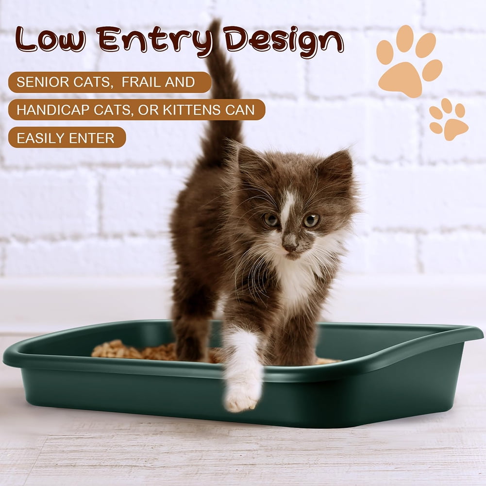 GlorySunshine Low Entry Senior Cat Litter Box, Large Size Low Entry