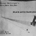 thumbnail image 1 of Gloryland Ponycat - Black Ants Crawling - Music & Performance - CD, 1 of 2