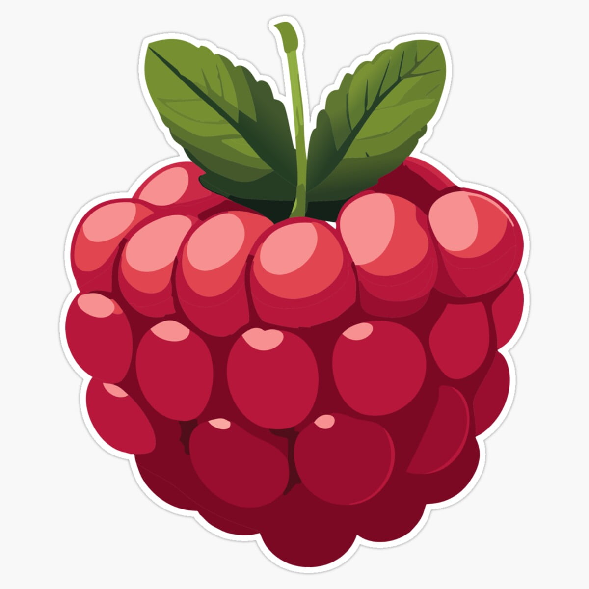 Gloss Dot Raspberry Illustration Er, Phone Decal Water Bottle Stickers ...