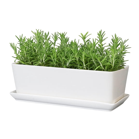 Glossy White Rectangular Ceramic Planter with Drainage Saucer 10 Inch