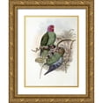 thumbnail image 1 of Glover, John 15x18 Gold Ornate Wood Framed with Double Matting Museum Art Print Titled - Tenimber Parrot, 1 of 4