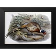 thumbnail image 1 of Glover, John 24x18 Black Modern Framed Museum Art Print Titled - Chinese Ring-Necked Pheasant, 1 of 4