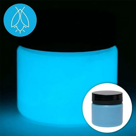 Glow In The Dark Acrylic Paint - Neutral and Fluorescent Paints with 5+ Color Options for Art Paintings, Decorations, Outdoor & Indoor Art Craft for Adults, Students, Kids - 1 Ounce (Fluorescent Blue)