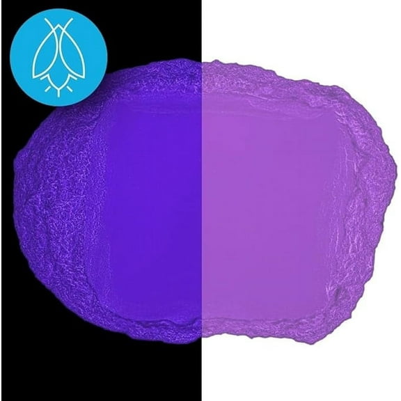Glow in The Dark Pigment Powder - Neutral and Fluorescent Color for Art Painting, Fine Art, Nail Art Paint, and DIY Crafts - Non-Toxic, Long Lasting 10+ Color Options - Fluorescent Purple - (30 Grams)