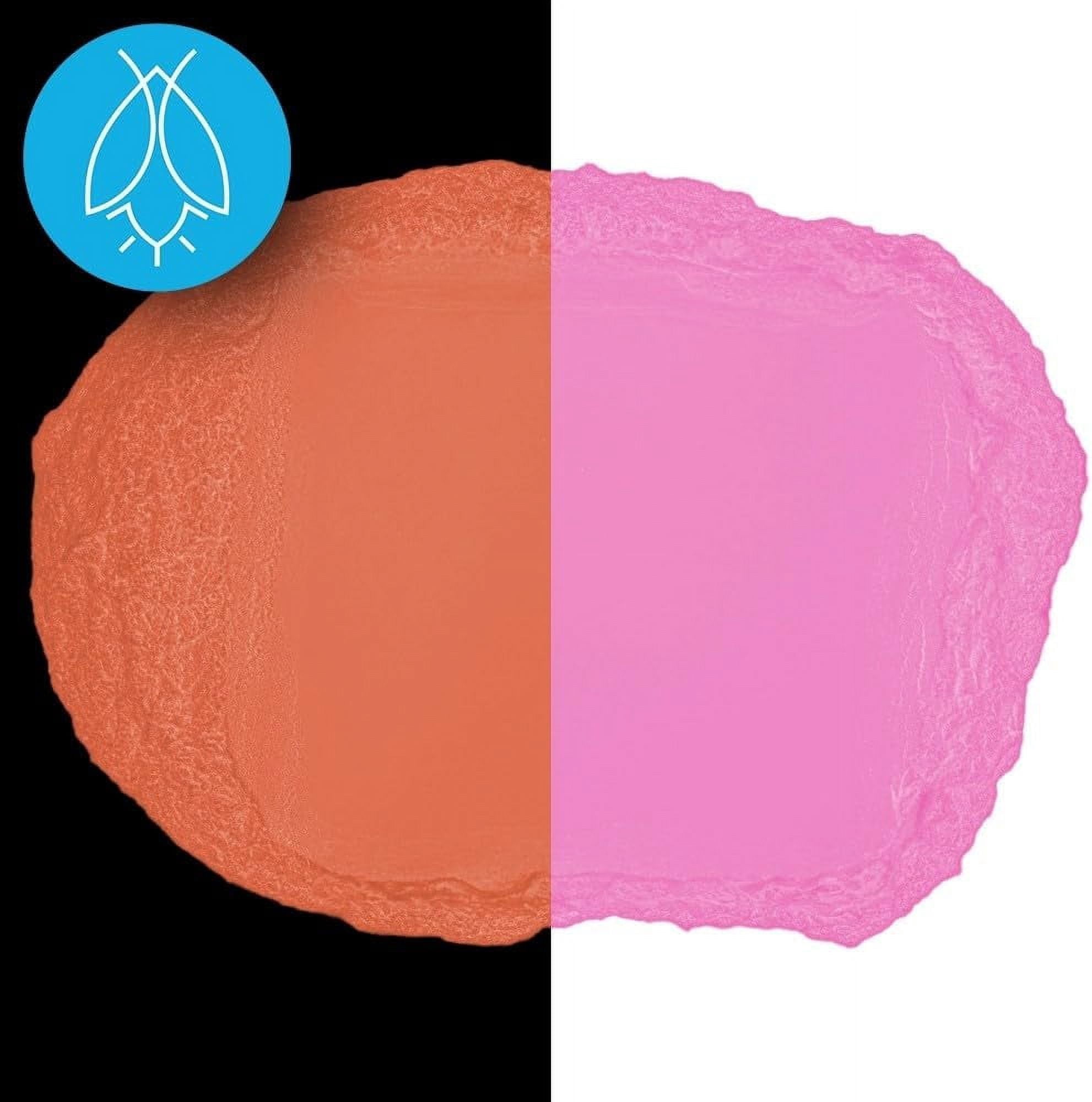 Glow in The Dark Pigment Powder - Neutral and Fluorescent Color for Art Painting, Fine Art, Nail Art Paint, and DIY Crafts - Non-Toxic, Long Lasting 10+ Color Options - Fluorescent Pink - (240 Grams)