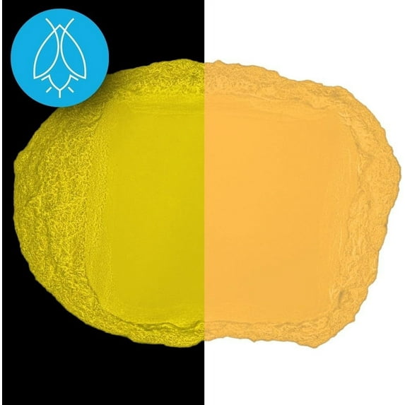Glow in The Dark Pigment Powder - Neutral and Fluorescent Color for Art Painting, Fine Art, Nail Art Paint, and DIY Crafts - Non-Toxic,Long Lasting 10+ Color Options - Fluorescent Orange - (240 Grams)