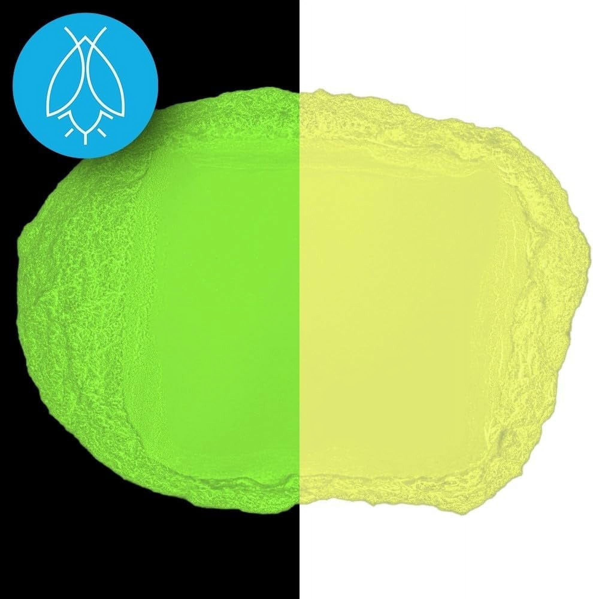 Glow in The Dark Pigment Powder - Neutral and Fluorescent Color for Art Painting, Fine Art, Nail Art Paint, and DIY Crafts - Non-Toxic,Long Lasting 10+ Color Options - Fluorescent Yellow - (120 Grams)