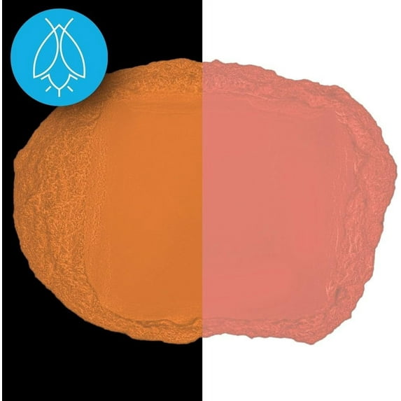 Glow in The Dark Pigment Powder - Neutral and Fluorescent Color for Art Painting, Fine Art, Nail Art Paint, and DIY Crafts - Non-Toxic, Long Lasting 10+ Color Options - Fluorescent Red - (120 Grams)