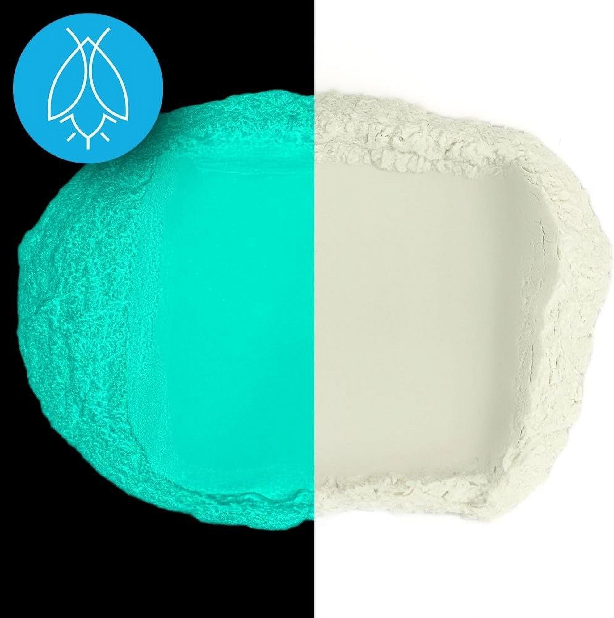 Glow in The Dark Pigment Powder - Neutral and Fluorescent Color for Art Painting, Fine Art, Nail Art Paint, and DIY Crafts - Non-Toxic, Long Lasting 10+ Color Options - Neutral Aqua - (240 Grams)