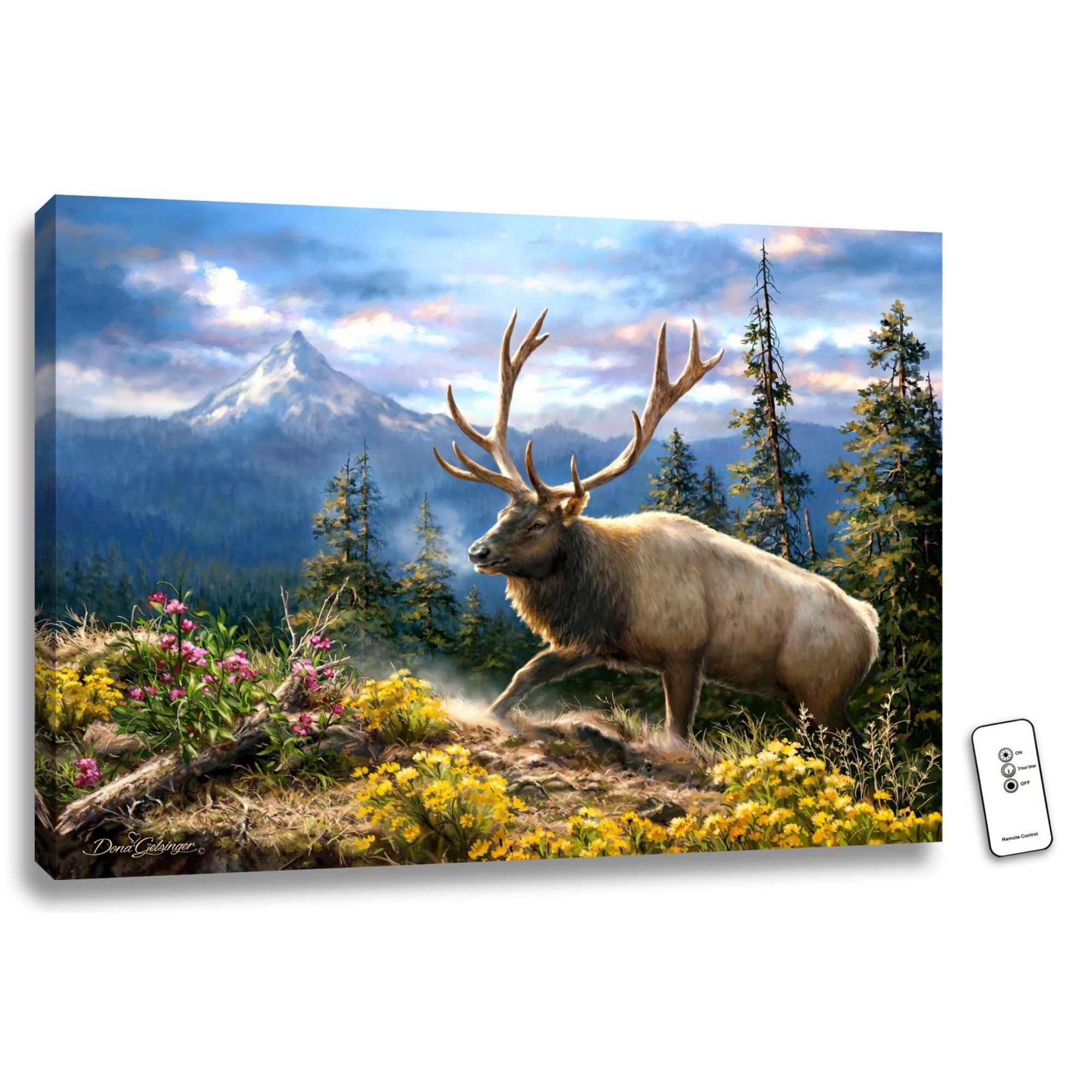 Siskiyou Bluff 18" x 24" LED Illuminated Canvas Wall Art