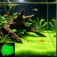 thumbnail image 1 of Glow In Dark Gravel Stone 2000 Pcs, Luminous Fish Tank Gravel Decorative Stones, Noctilucent Substrate for Betta Shrimp Tank Aquascaping, 1 of 6